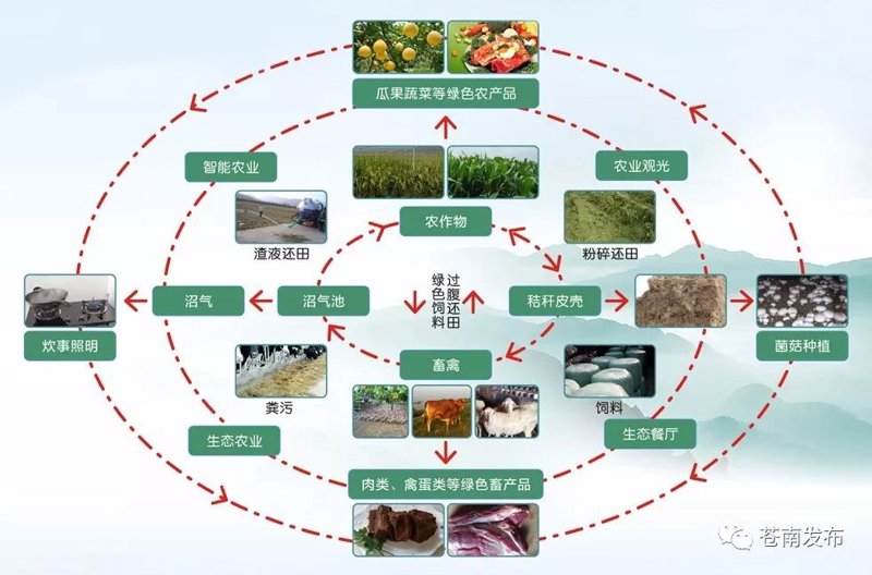 福建现代农业：绿色革命的风向标