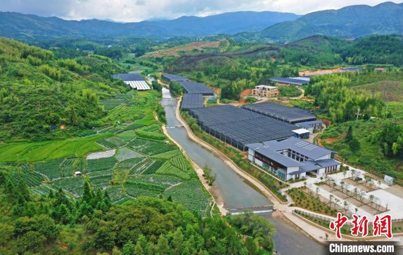 福建现代农业